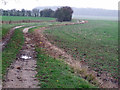 Farm Track off Rye Lane in Aby with Greenfield