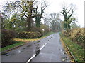 Minor road towards Bevercotes in West Markham