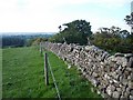 Drystone wall descending Craggle Hill in Burtholme