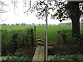 Footbridge and Stile for Path from Hall Lane to Style Farm in Winsford Swanlow Ward