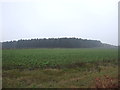 Farmland towards Youngrough Breck in Carburton