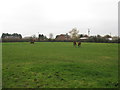Equine Grazing Paddock at Grange Farm in Winsford Swanlow Ward