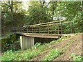 Footbridge on Hadrian's Wall Path in CA3 9QY