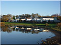 Coastal East Lothian : Belhaven Caravan Park at Seafield Pond, Belhaven in EH42 1UQ