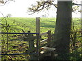 Stile & Path to Hilltop Farm in CW7 4DY