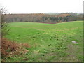 Fields west of Heatherleazes in NE65 0TZ