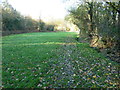 Footpath nearing Broadfield Wood in TN21 0LX