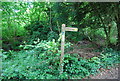 Signpost, Sussex Border Path in GU31 5PB