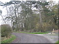 Farm track to Stove Room Wood in Winsford Gravel Ward