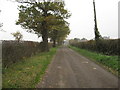 The road to Lea Hall & Farm in Winsford Gravel Ward