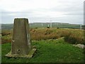 The trig on Auchensoul Hill in KA26 9TJ