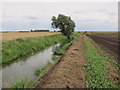 Public footpath by Mill Drain in East Cambridgeshire District