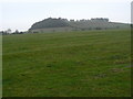 Strip field above Normanton in Normanton-on-the-Wolds