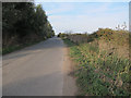 Old road by the A10 in Chittering