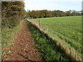 Bridleway to Hazel Wood in GL6 0QP