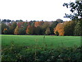 Autumn colour at Allesley Park in CV5 9QT