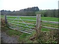 Gate into field, Lindhead Road in YO13 0DD
