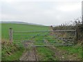 Field gate on west side of the lane in YO13 0DD