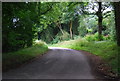 Lane to West Harting in GU31 5NZ