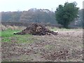 Muck heap near Suffield in YO13 0BJ