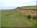 Grassy track near Shaw Hill in NE47 9LS