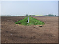 Ditch off Fodder Fen Drove in CB7 5UQ