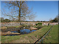 Small pond by Manor Road, Brandon in IP27 0JF