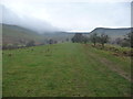 Path through fields in Cwm Llwch in LD3 8NE