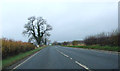 A170 heading west near Welburn in YO62 7RT