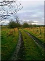 Bothwellpark Road (track) in G71 8DA