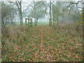 Footbridge over stream south of Tillhouse Farm in RH12 3AU