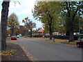 Gregory Ave in autumn in B29 4DH