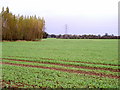 Farmland View in HU7 5XZ