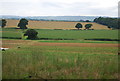 Farmland north of Durleighmarsh Farm in GU31 5AX