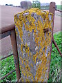 Lichen on the post, North Pitkindle in PH14 9SU