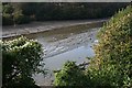 Looe River Estuary in PL13 1FD