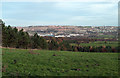 Field with adjacent trees overlooking southern Gateshead in Lamesley