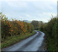 2011 : Lane to West Stowell on a grey day in SN8 4JU