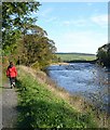 Footpath along the South Tyne at Newbrough in NE47 5AG