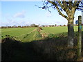 Footpath to the B1117 The Street in Hoxne & Worlingworth Ward