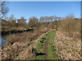 Bridleway along Little Ouse River in IP27 0TF