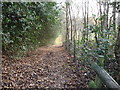 Path off Silvington Common in DY14 0HX