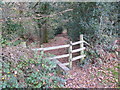 Edmondsham, gate & stile in BH21 8LF