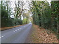 Sutton Hill, B road in BH21 8LJ