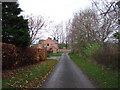 Warlaby Lane towards Ainderby Steeple in DL7 9JY