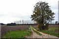 Farm track near Worlington in IP28 8SD