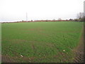 Field by Colne Valley Way in SL3 9PD