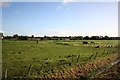 Historic landscape at Friskney in PE22 8PG