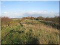 The path leading to the Humberhead Peatlands National Nature Reserve in DN8 4EE
