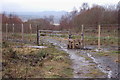 Stile and gate above Common Wood in EH23 4NN